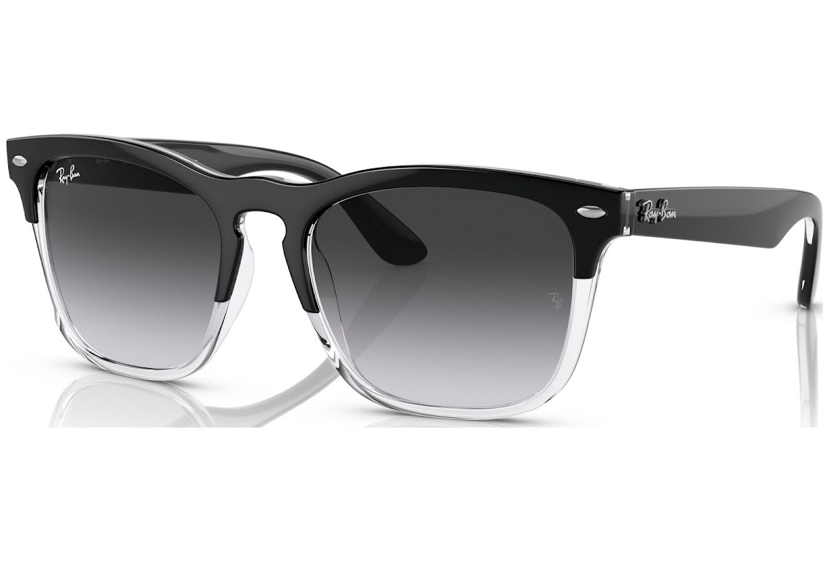 Ray-Ban Steve RB4487